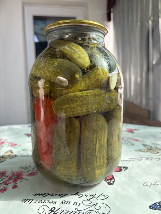 Домашний огурцы.      .
