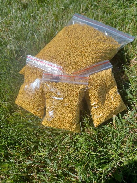 Пчелен Прашец 2026