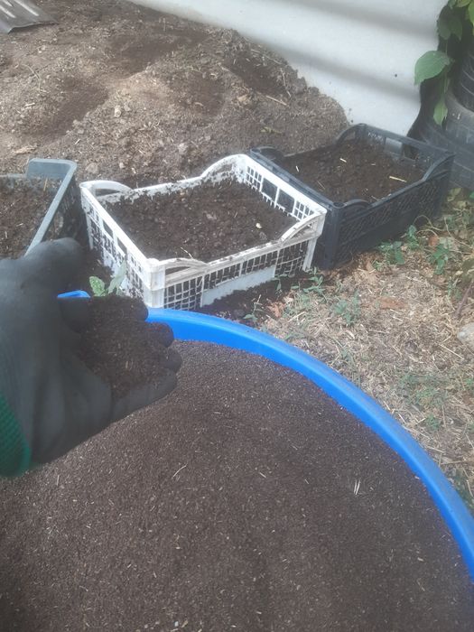 Биогумс сатылады . Қабы бес мың . Ешқандай қоспасы жоқ таза.