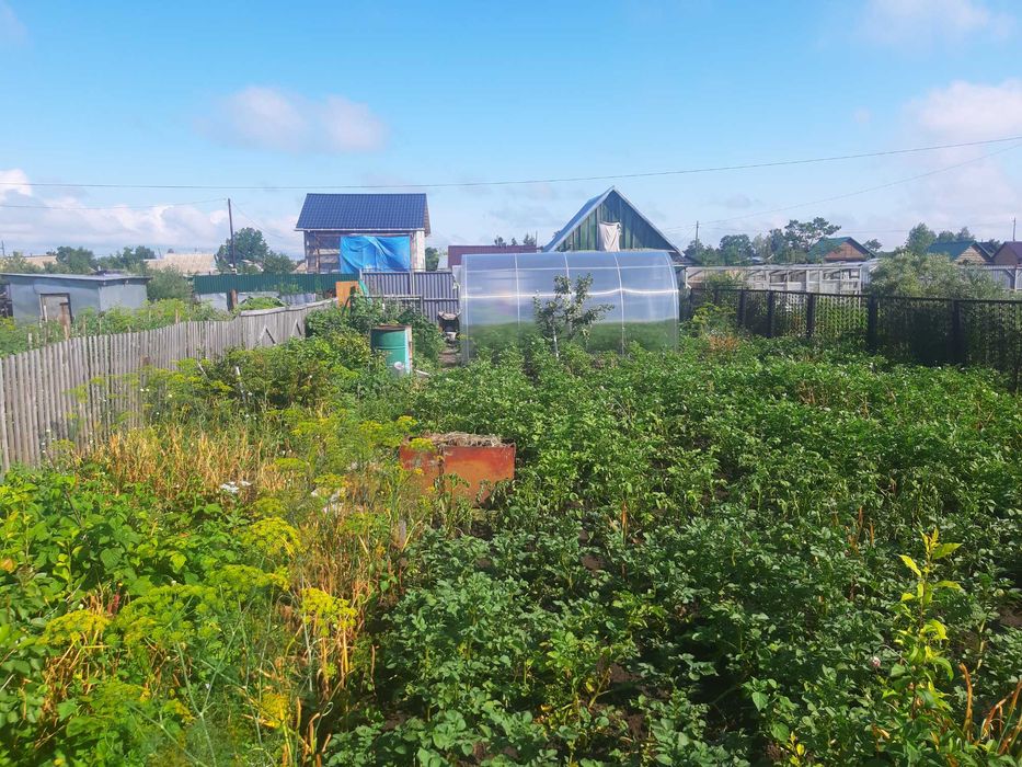 Продам дачу ПК СТ Борки