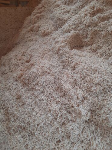 продам опилки(сухие)