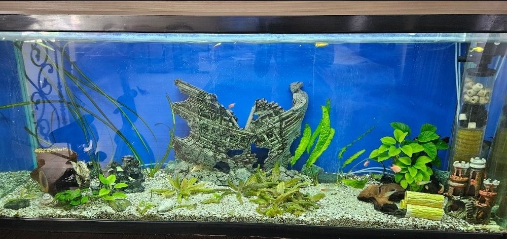 Продам Аквариум 500 л .