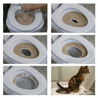 Прдам новый пластиковые лоток