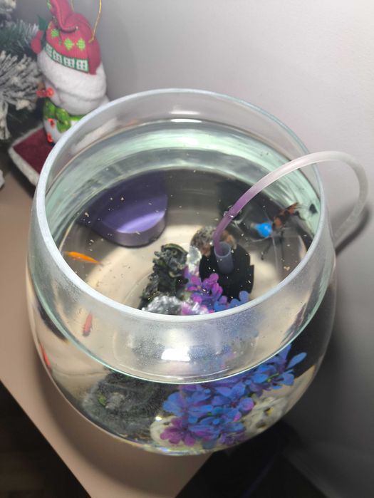 Аквариум с рыбками