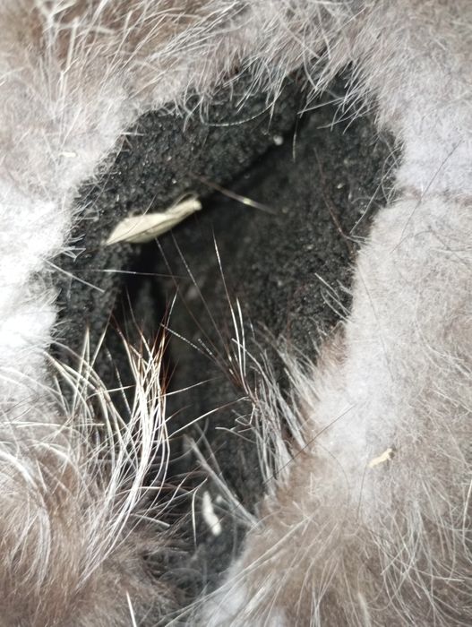 Продам новые угги