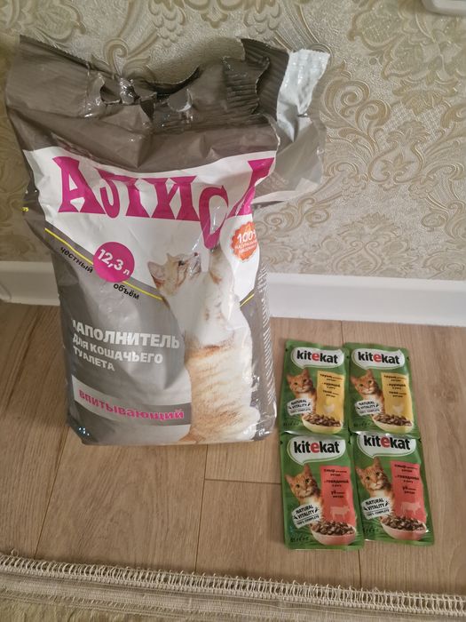 Отдам котёнка в добрые руки