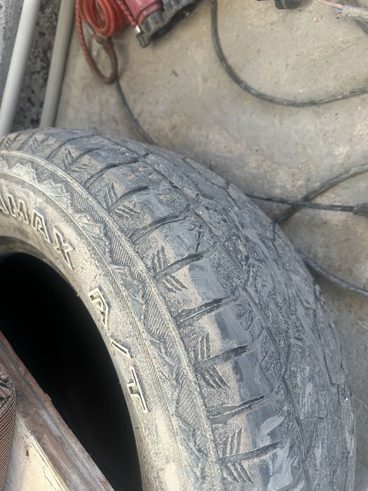 Шины всесезонные