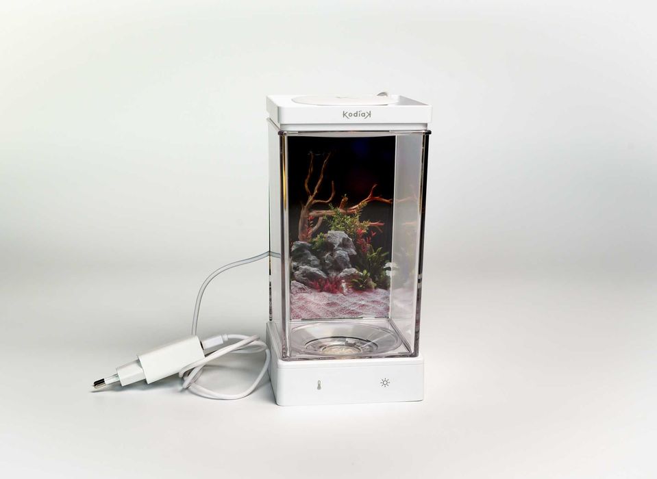 Mini Acvariu de birou Kodiak  special pentru pesti Beta