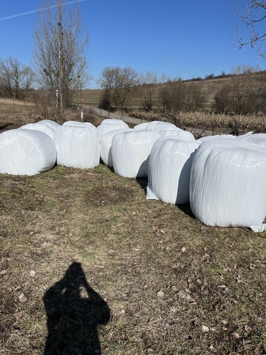 Vand balot infoliati