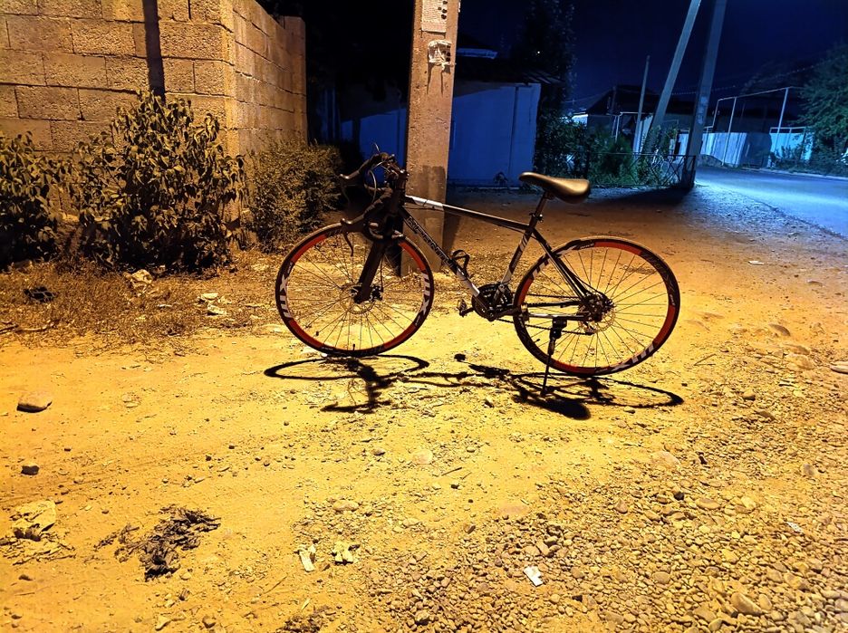 Шоссейник  черный