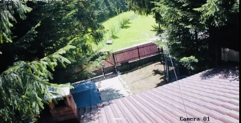 Casa de vanzare 3 camere 55 mp la poalele muntelui Valea Doftanei