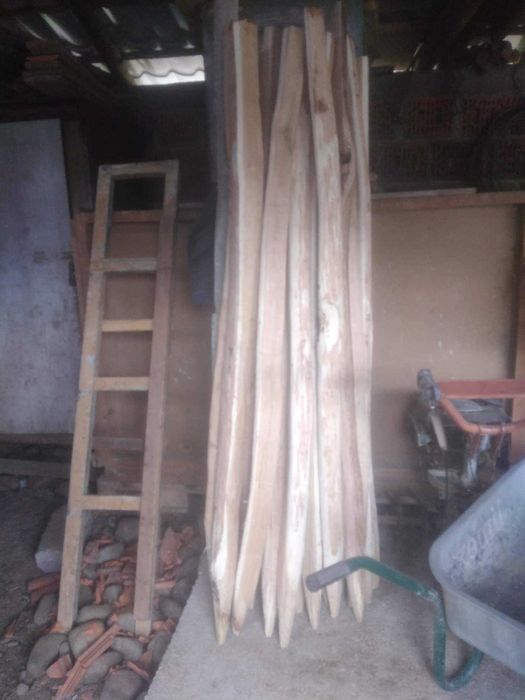 Vând pari pentru vie