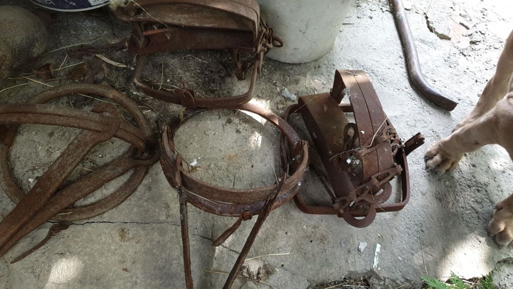 Қақпан қасқыр,борсық түлкі ит аңға