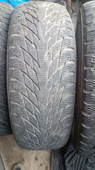 Шины Nokian Hakkapellita