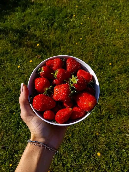 Vând drajoni de zmeură polka si stoloni căpsuni