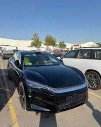 byd han 605 pad zakaz