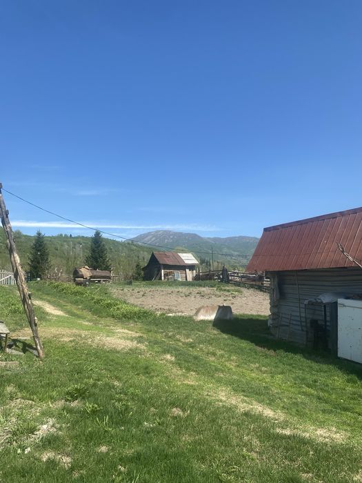Продам крестьянское хозяйство!