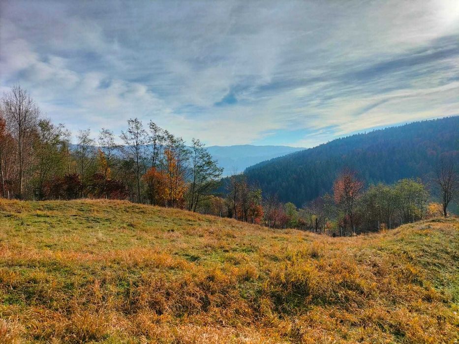 Teren Izvorul Alb Bicaz