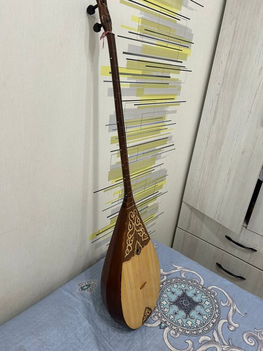 Домбра 48 кәсіби.