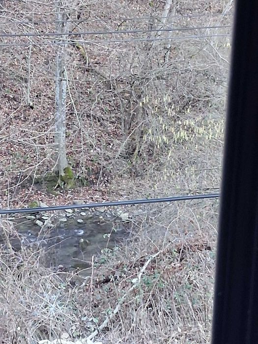 Къща в кв. Зеленика