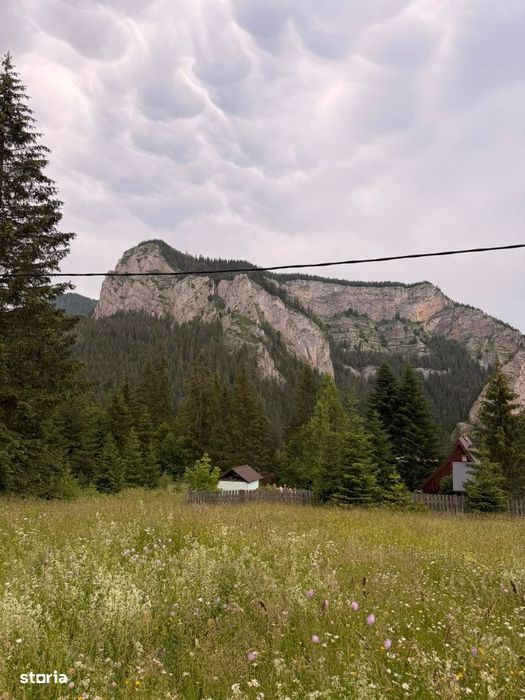 Teren intravilan de vânzare în Lacu Roșu – panoramă spectaculoasă
