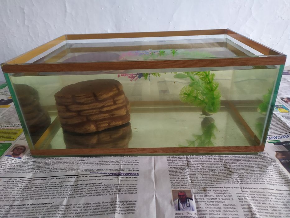 Аквариум для черепах. Бонусы.