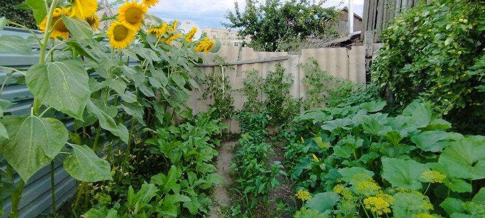 Продам Частный Дом