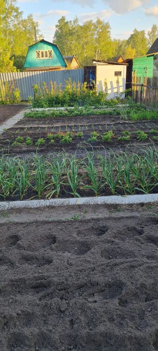 Продам дачу с/о горизон