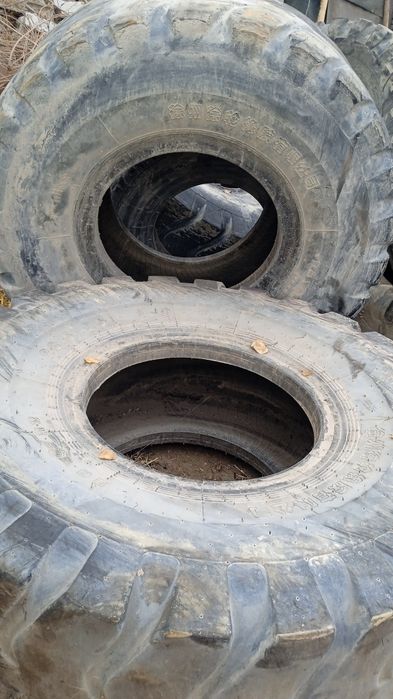 Пагурчикни балони  бор от ва бук,аларга охир сифатида хам болади