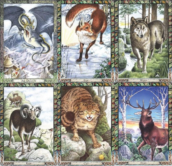 Animal Druid-Carti Oracol/tarot-Lucru cu Animale sacre,Traditie CELTIC