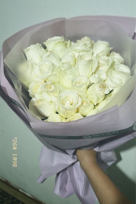 Белые розы 33штук