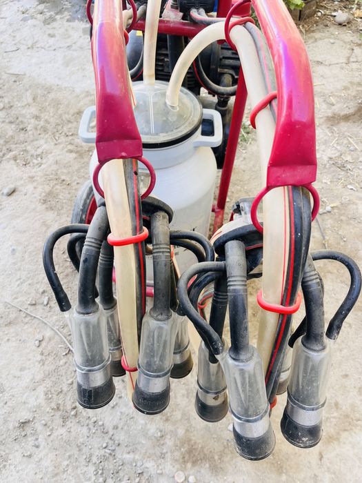 Сиыр сауатын апарат