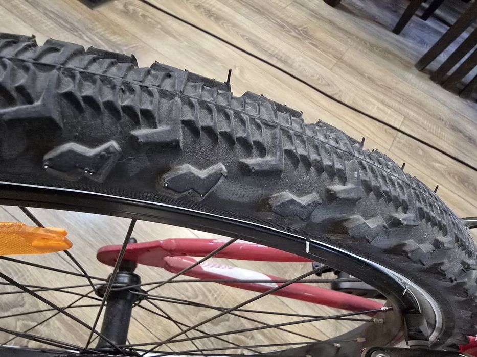 Drag Hardy JR 24"