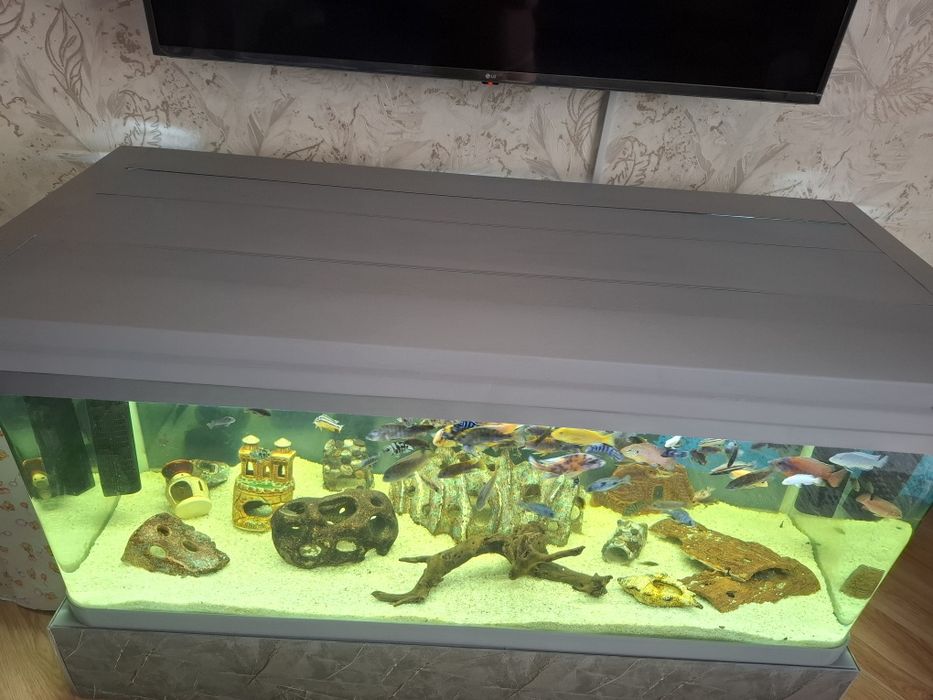 Продам  срочно  3 аквариума