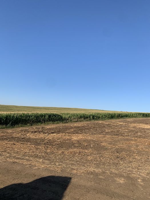 Siloz de vanzare 30 hectare