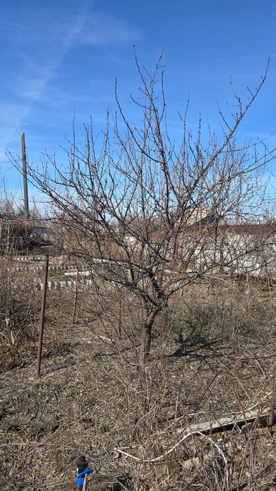 ПРОДАМ Дачу в Мелиораторе