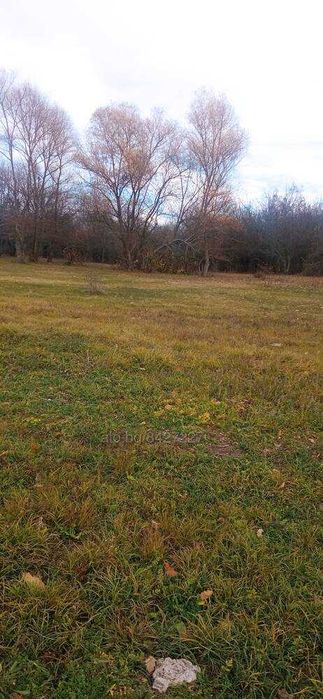 Парцел  10 дка на брега на язовир Тича