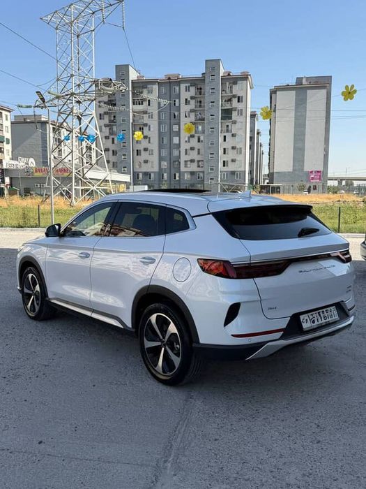 Byd song plus GIBRID 2023 yil oq toza