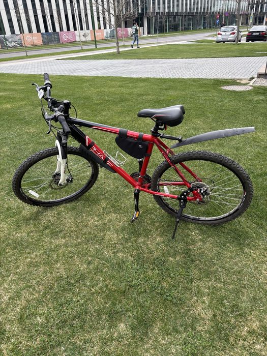 Bicicletă Bărbati Phaze