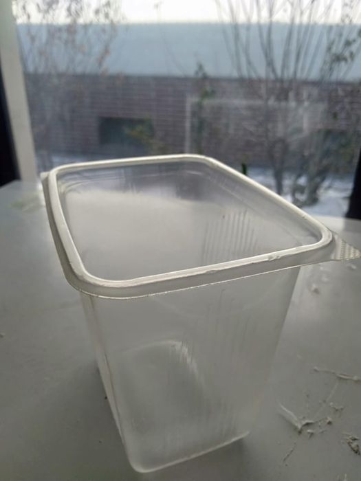 Одноразовые посуды