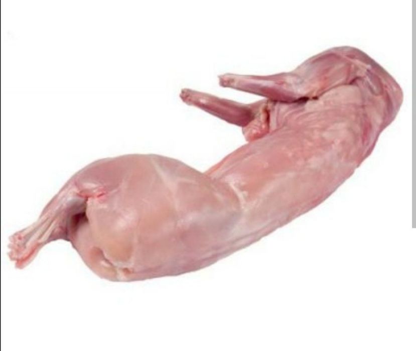 Продам кроликов на племя или мясо
