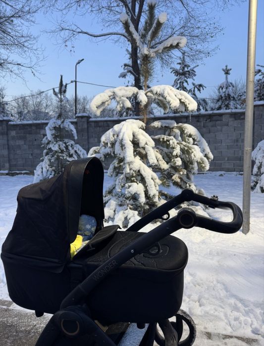 Коляска 2 в 1. Люлька и прогулочный блок