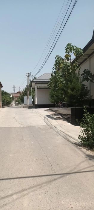 Мингчинор  Досаф