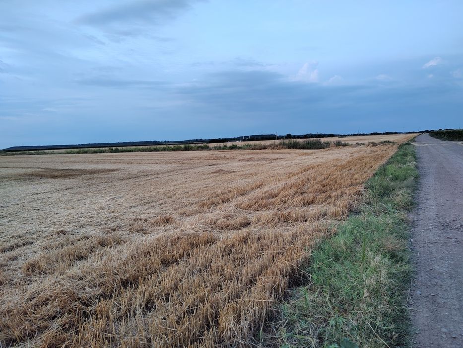 Vand teren extravilan Ialomita