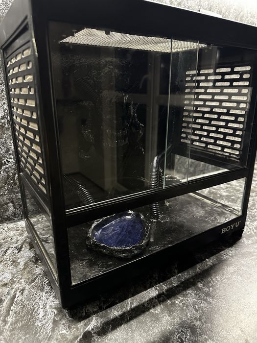 Террариум дизайнерский