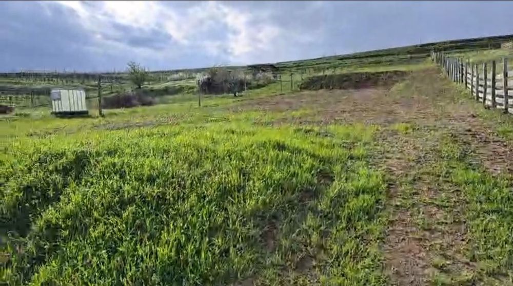 Vând teren intravilan, 2500 mp, in Chițorani, Prahova