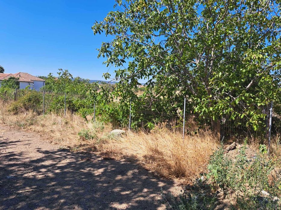 Продава се Парцел в с. Оризаре, Област Бургас - 1040 кв.м за 19 €/кв.м - Снимка #6