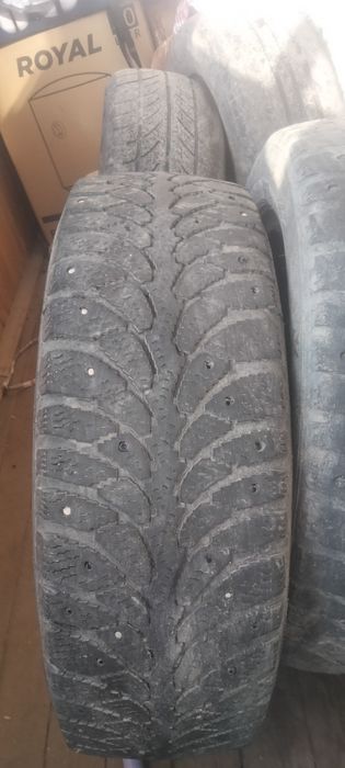185/65/14 зима прадам