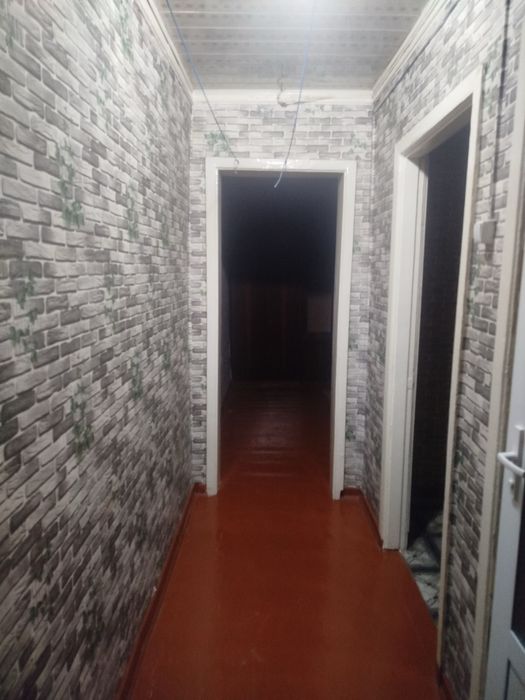 Спутник 1 1/1/2 250& чистая