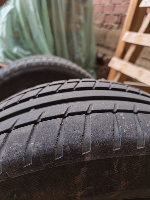 Летни гуми Рикен 205/55/16 цолс